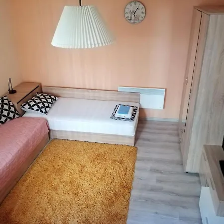 Cozy Studio Downtown Apartament